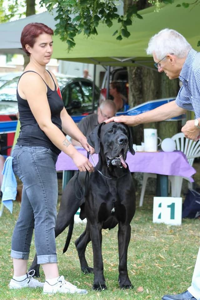 De L'Orangerie Des Perles De Picardie - Expo Arvillers le 08.07.2018